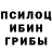 Галлюциногенные грибы Psilocybine cubensis Fozilov play