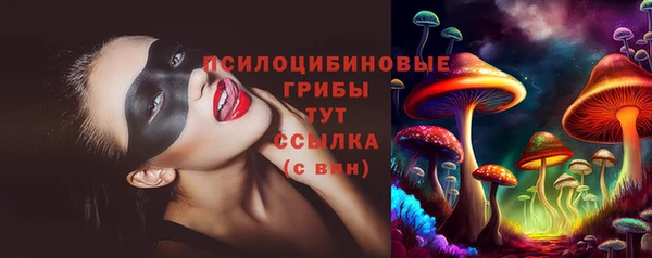 стафф Белокуриха