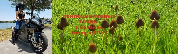стафф Белокуриха