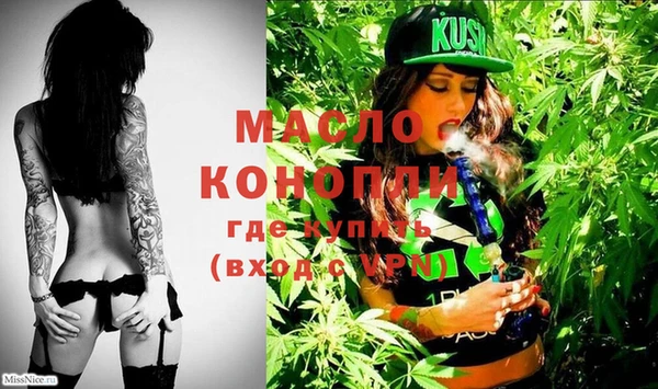 дмт Осинники