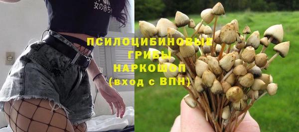 стафф Белокуриха
