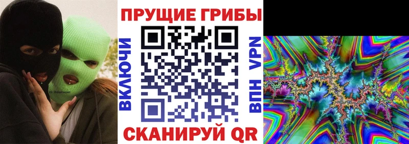 наркотики Кунгур Галлюциногенные грибы прущие грибы